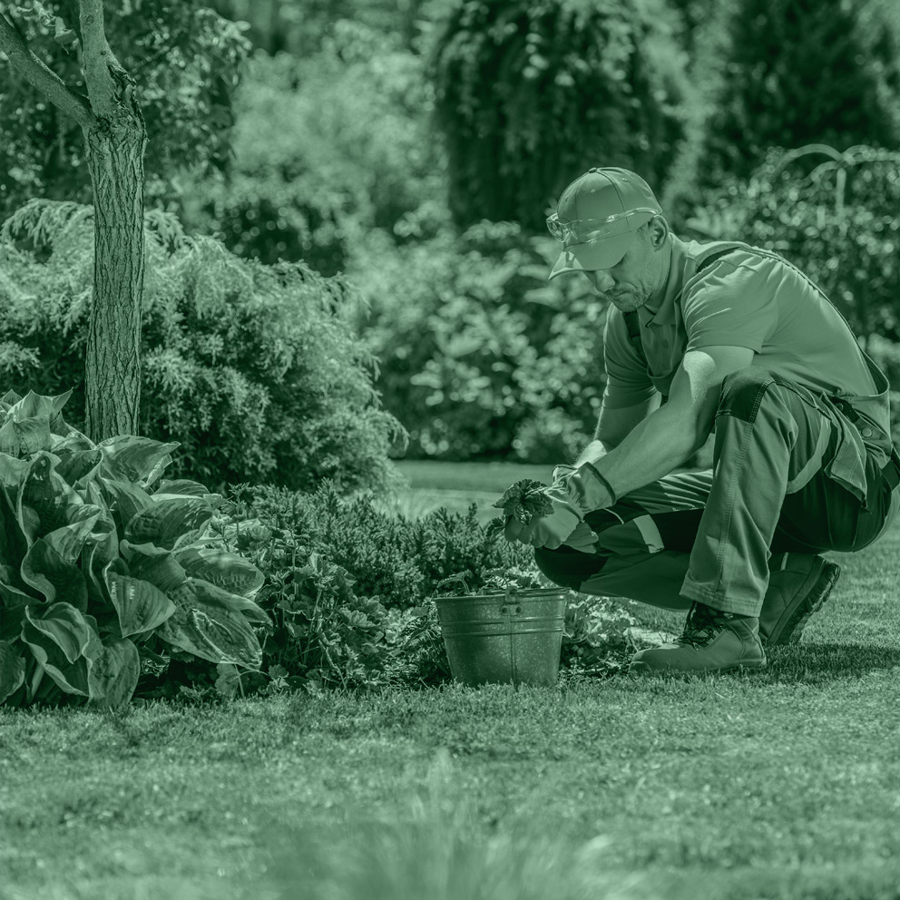 Sei un giardiniere professionista? Hai una partita iva?