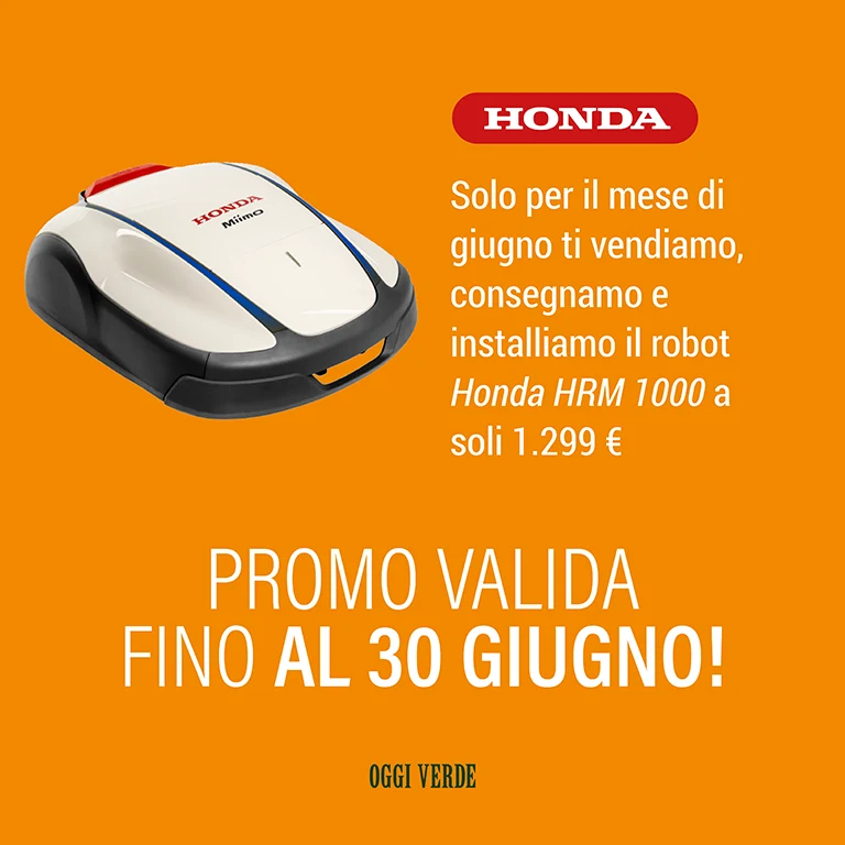 Honda HRM 1000 offerta
