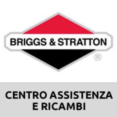 logo-briggs-stratton83