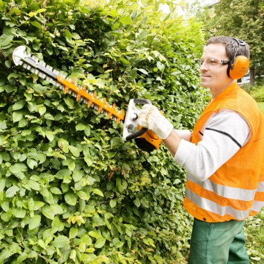 Tosasiepi Stihl HS 56